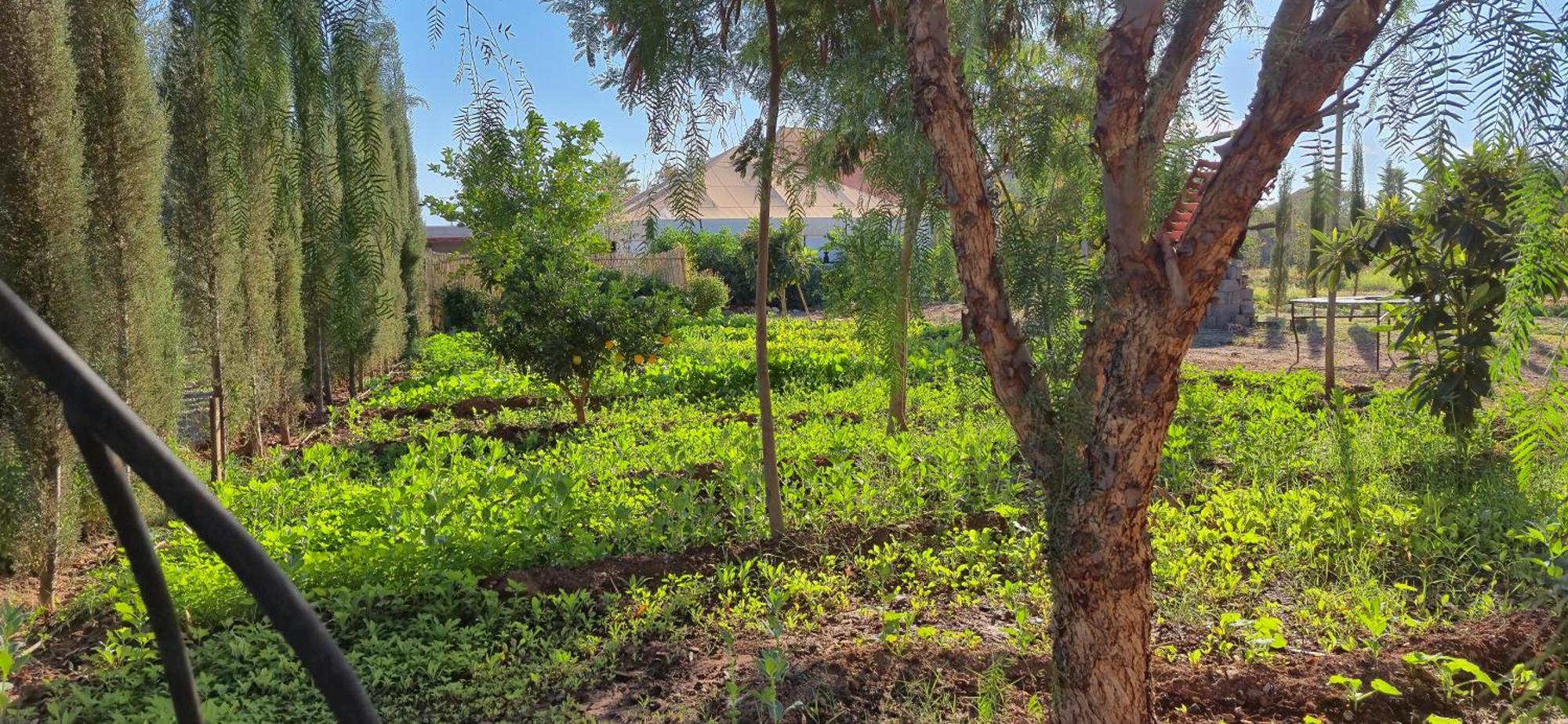 La Terra Rosa Hotel Douar Akkara Exterior photo